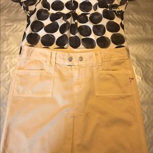 7 For All Mankind Skirt